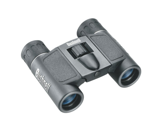 Bushnell PowerView 8x21