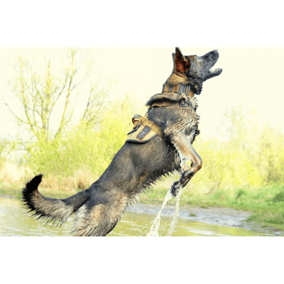K9 Thorn Hundsele Delta (Färg: Coyote, Storlek: Medium)